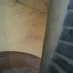 Vieux